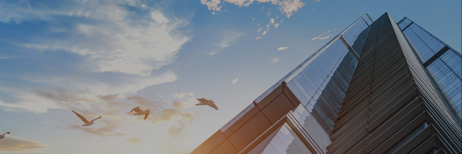 資訊動(dòng)態(tài)